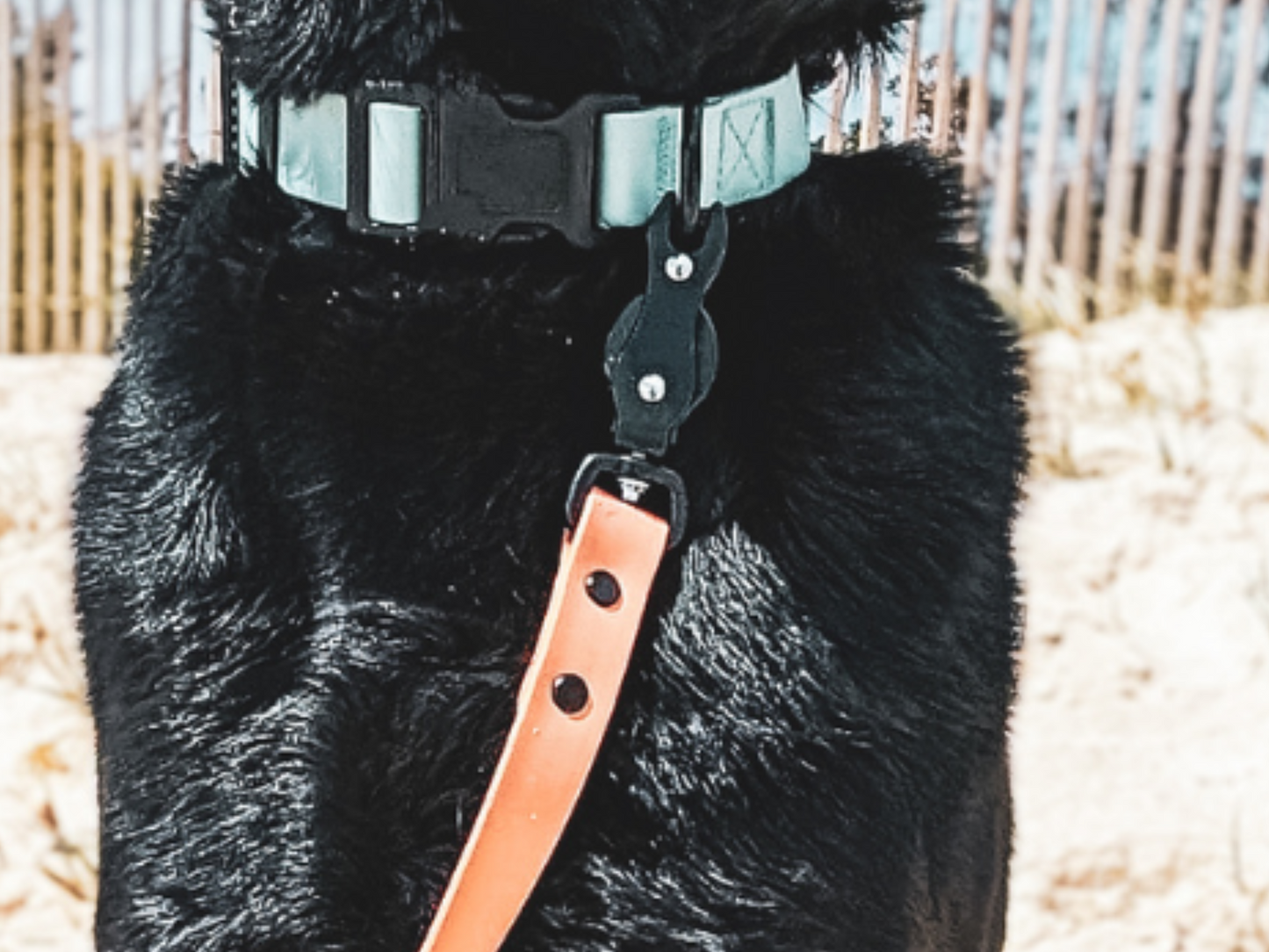 304 Stainless Steel Chicago Screws Rivets for Biothane, Leather, or PVC Webbing (Matte Black)