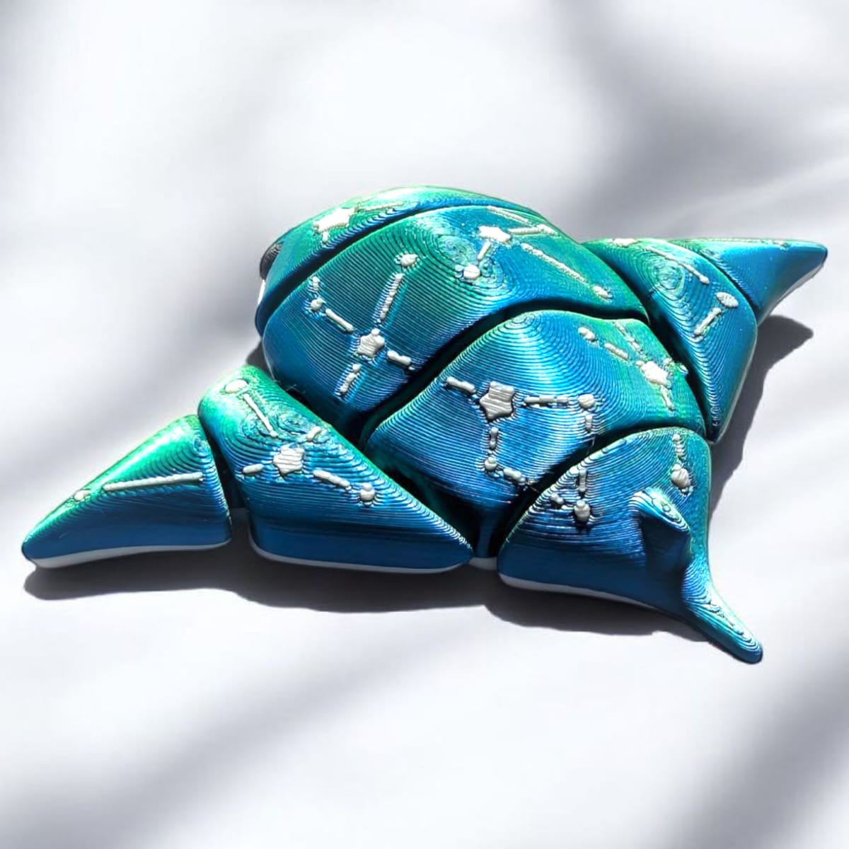 Raydar the Manta Ray